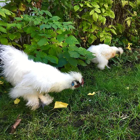 однажды в одессе 3*