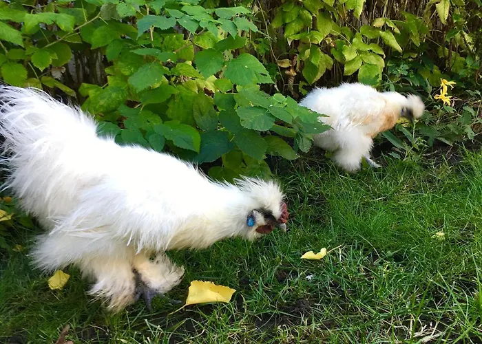 однажды в одессе 3*